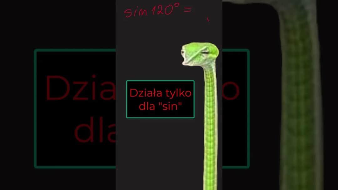 Jak obliczyć pole trójkąta rozwartokątnego - proste metody i przykłady