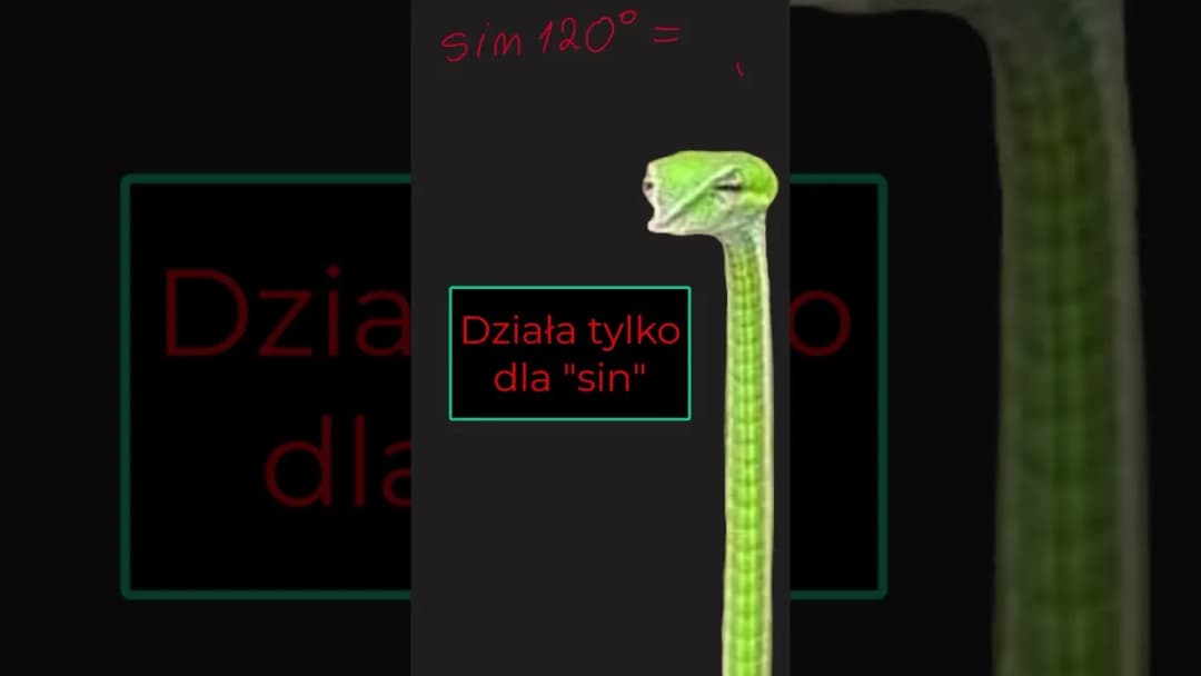 Jak obliczyć pole trójkąta rozwartokątnego - proste metody i przykłady