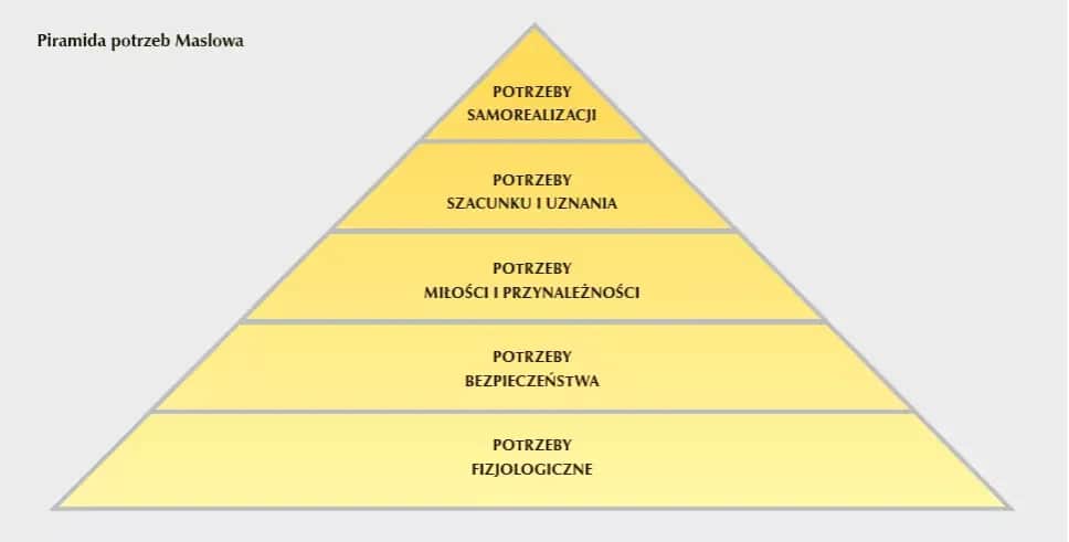 Jakie mogą być potrzeby edukacyjne dziecka i jak je zaspokoić