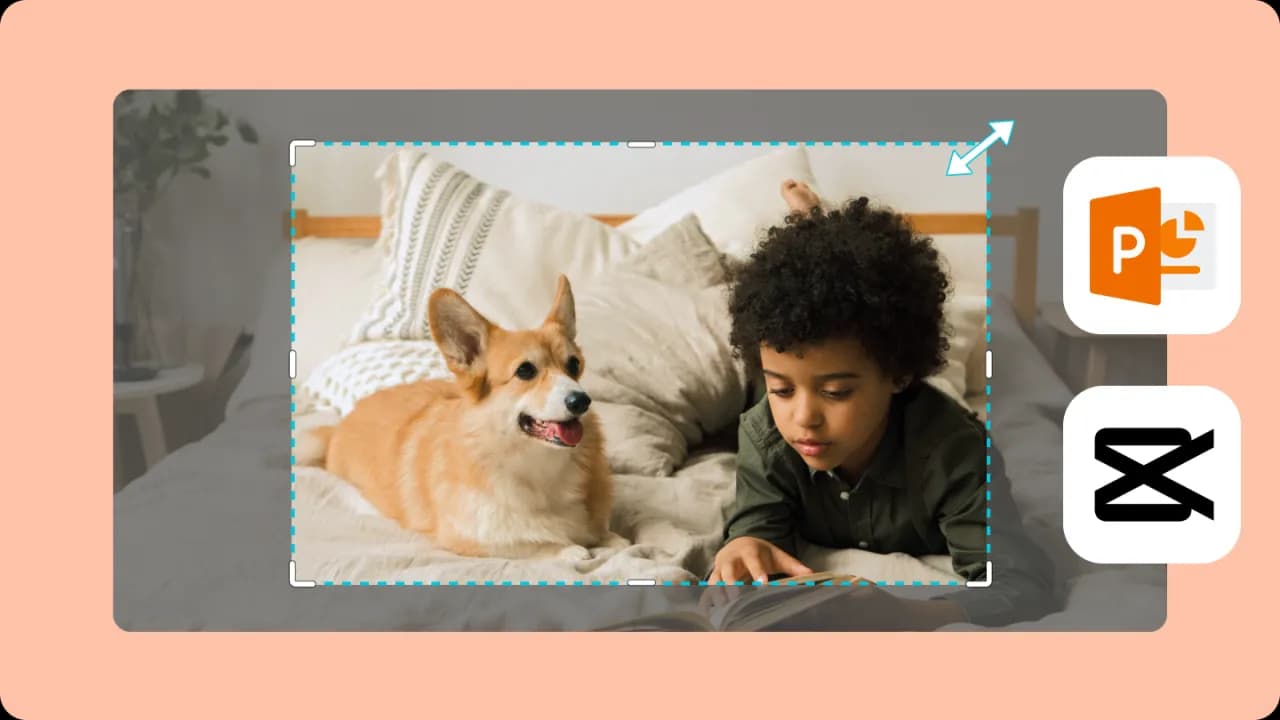 Jak przyciąć obraz w PowerPoint i uniknąć niechcianych efektów