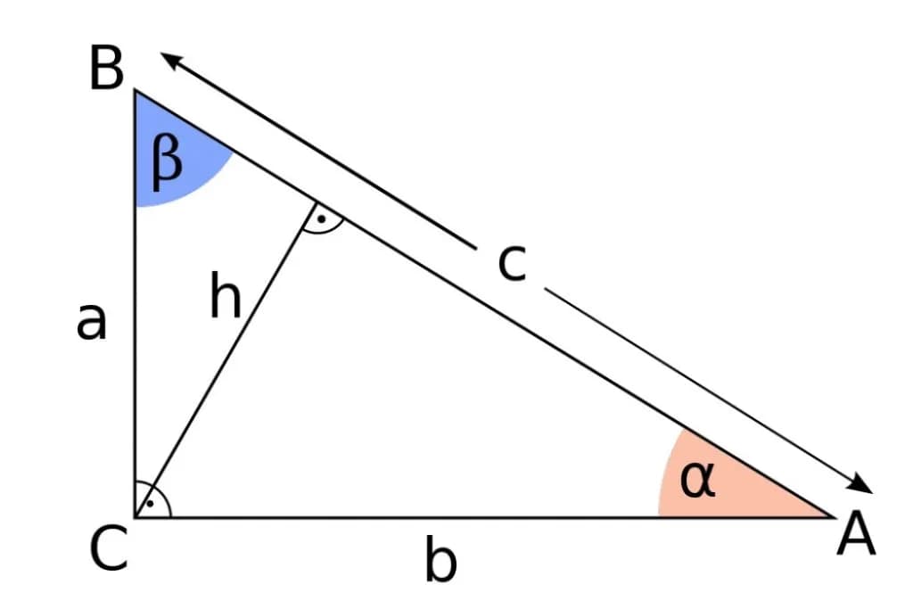 Jak obliczyć pole trójkąta prostokątnego - prosta metoda i przykłady