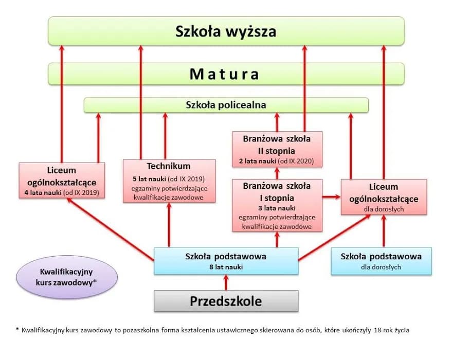 Jak wygląda życie dzieci w szkole: etapy edukacji i system nauczania w Polsce