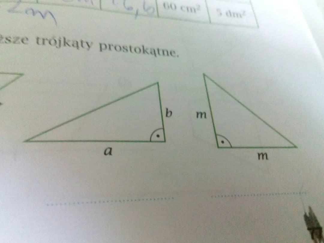Zapisz jakie pola mają poniższe trójkąty prostokątne i oblicz je łatwo